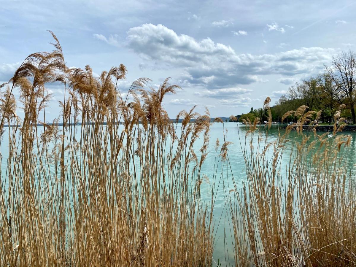 Kekmadaras Vendeghaz Tihany Exteriör bild